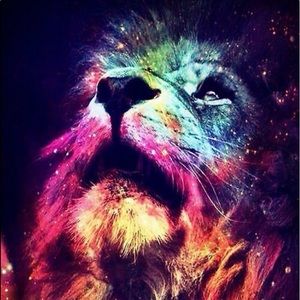 Meet your Posher, Payton